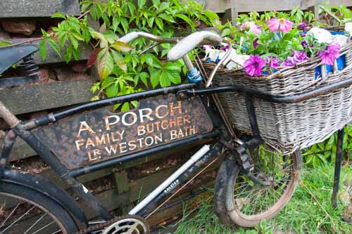 Garden at Acer House