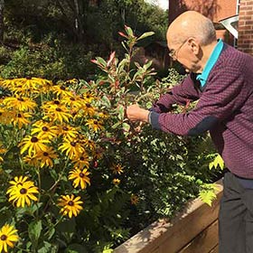 Gardening therapy at care homes