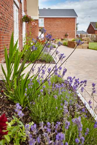 rear garden at Crispin Court Care Home in Stafford