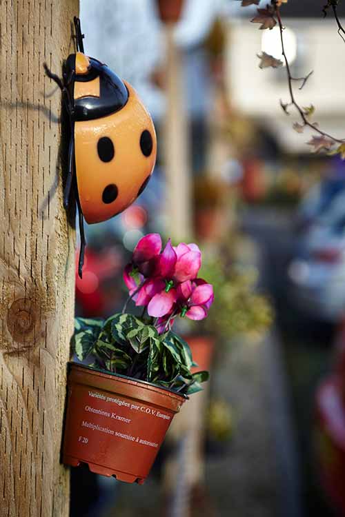 Garden decor at Birchwood Grange Care Home Harrow