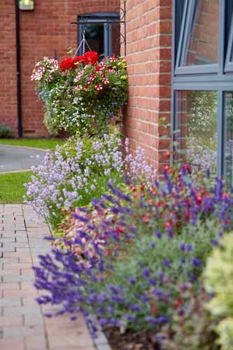 scholars_mews care home