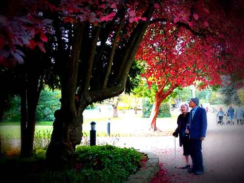 Taking a stroll in the park, with care home residents.
