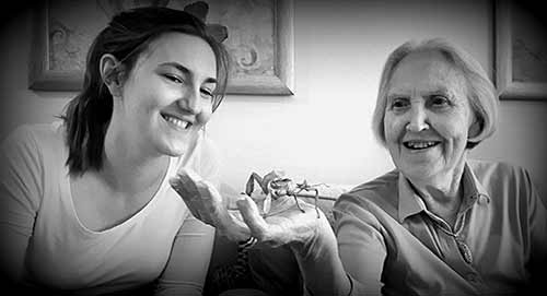 insects visit our care home