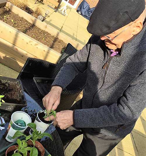 Residents Gardening
